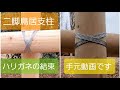 【二脚鳥居支柱】ハリガネ結束のやり方【手元動画で分かりやすく】