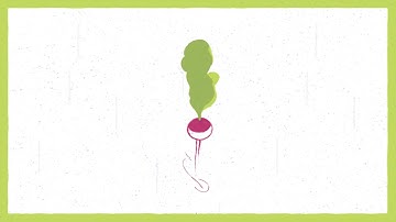 Aconitum / Profus - Promotional Intro by ExplainVid