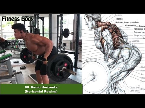 Barras de musculación