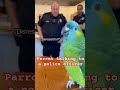Parrot talking to a police officer#shortvideo#youtub#foryou#tending