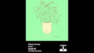 Video thumbnail of "Moses Sumney - Seeds"