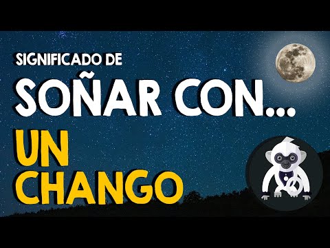 ¿Qué significa soñar con un chango? 🐒 De color negro o blanco 🐒