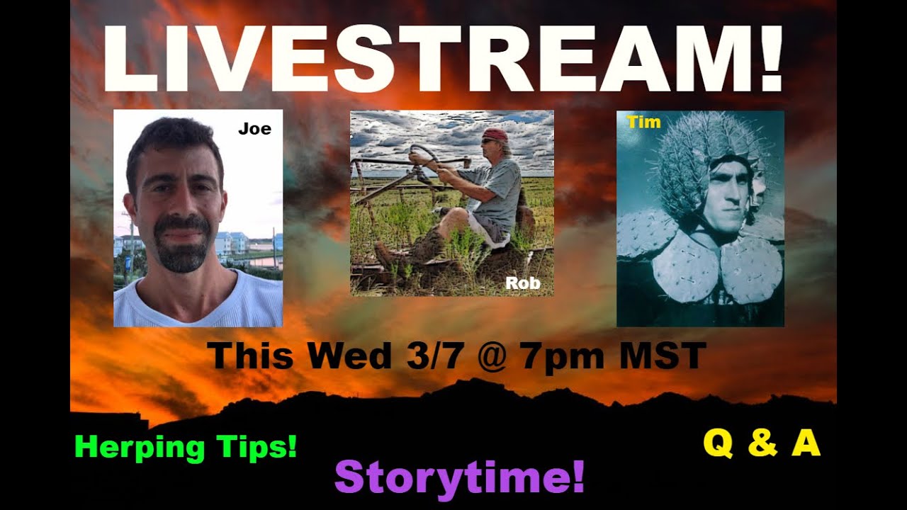 adventure academy LIVESTREAM with two top herpers! Tips, Tricks, Stories and GPS coordinates??