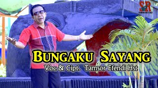 Bungaku Sayang || Tamsor Efendi Hst || Lagu Tapsel Madina Terbaru