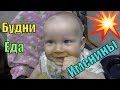 Быт и девочки. Котята. Детский День Рождения//Семья Фетистовых