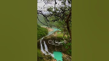 اليوم تجزى كل نفس بما كسبت لا ظلم اليوم/تلاوة خاشعة تريح القلب الشيخ محمد اللحيدان وفقه ﷲ