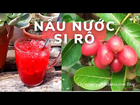 Video: Chăm sóc cây Carissa - Thông tin về việc trồng một bụi mận Natal