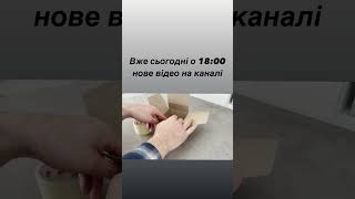 Вже сьогодні на нашому каналі остання серія проекту Мустанг за зарплату