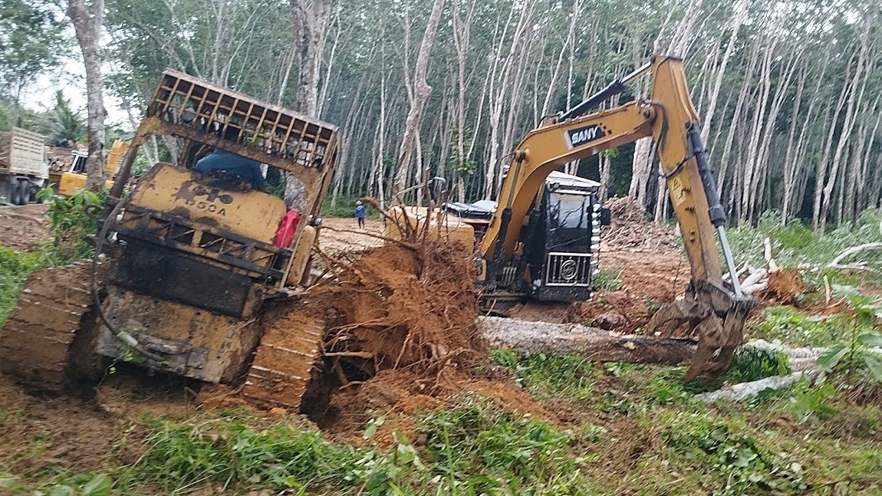 งานเข้าแล้ว! รถแทรกเตอร์สายเนิบ! ล้มต้นใหญ่พลาดท่าจมในหลุมยางลึก!! SANY SY135B มาช่วยแล้ว