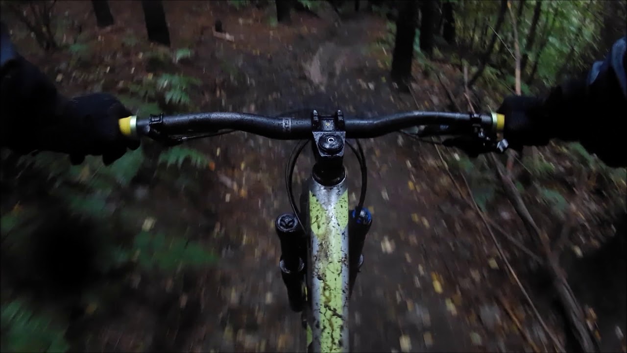 Chopwell Woods with the boys. Recorded on the Akaso V50 Pro SE