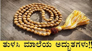 ತುಳಸಿ ಮಾಲೆಯನ್ನು ಏಕೆ ಧರಿಸಬೇಕು? | Importance of Tulsi mala
