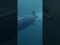 Pakistan Gets New Hangor Submarine from China! 🚀🔱