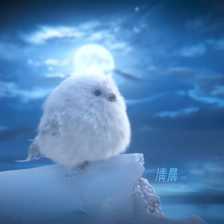 毛球的最后一天. #长相思 #相柳 #檀健次 #毛球 #杨紫 #杨紫小夭 #邓为 #张晚意 #chinesedrama #cdrama
