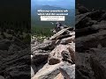 Happiest above tree line 🫶🌲🏔️ I shared on Stories yesterday that the big open spaces you get to