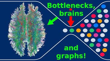What are...expander graphs?