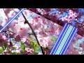 Kaun tujhe yun pyar karega Beautiful WhatsApp Status video ///@MYHIS Whatsapp Status Video Download Free
