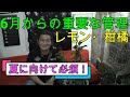 【柑橘管理】6月からの管理です。