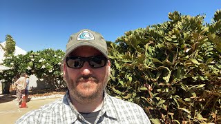 Citizen CATE 2024 at the total solar eclipse (20 April 2023) over Exmouth, Australia