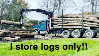 WHY I DO NOT STORE SPLIT FIREWOOD? Net Worth