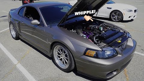 FULLY BUILT TERMINATOR COBRA PULLS INSANELY HARD WITH OVER 860WHP!!