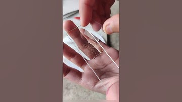 Preparing a temporary mount to show pollen germination | Class 12 Biology CBSE PRACTICAL