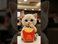 仔猫の初バイト 17 Kitten's first part-time job #cutecat #ねこ