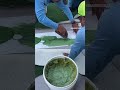 Custom Putting Green Installation by Grassroots