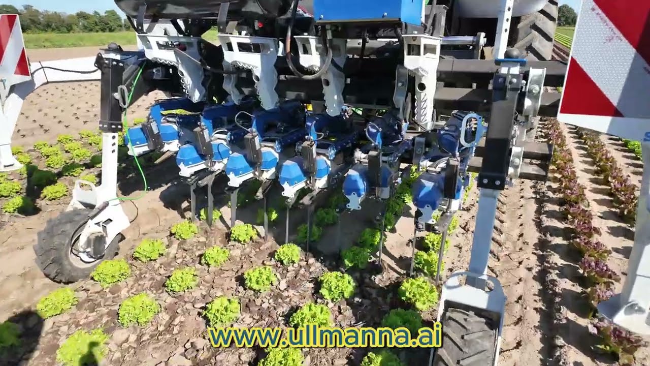 This summer on the field with our AI - Saving a lot of money