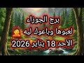 توقعات برج الجوزاء اليوم لعبوها وباعوك ليه الاحد 18 يناير 2026 