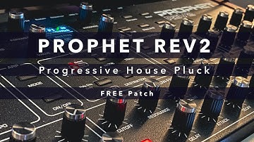 Prophet Rev2 FREE Progressive House Pluck Patch