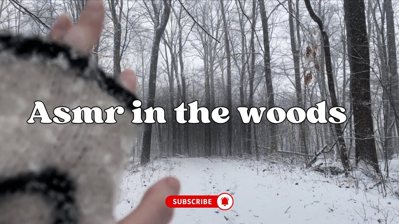 ASMR Outside In The Woods (During a Snowstorm) ❄️🌨