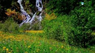 02-1-1_StGis_presentation_incl_movie.mov