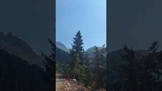 Artvin Borçka Bagin Adagül Yaylası Bagin