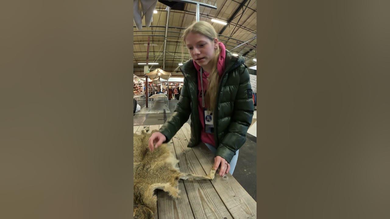 Welk DOOD Dier is dit dan. Ik heb GEEN IDEE. HERKENNEN jullie het MISSCHIEN?De Zwarte Markt Welk DOOD Dier is dit dan. Ik heb GEEN IDEE. HERKENNEN jullie het MISSCHIEN?De Zwarte Markt