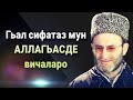 Гьал сифатаз мун АЛЛАГЬАСДЕ вичаларо