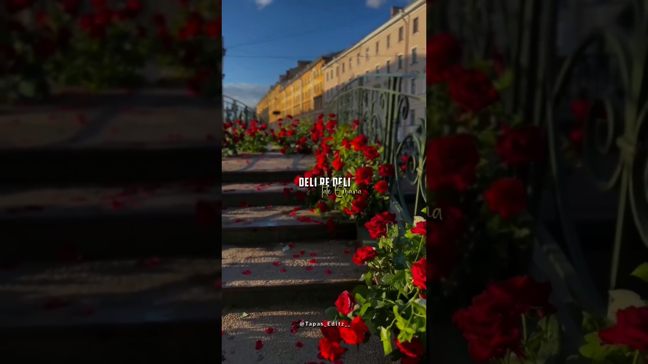 Delire Deli Tate E mana ❤️🤌🫂!! Odia Status Video!! 