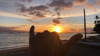 Maui Live Stream Listing Agent