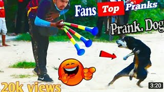 Big Horn vs  Prank Sleep ||Dog Supar Funny Prank Dog