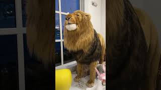 $6,000 Ultimate Toy Lion - Watch till end!
