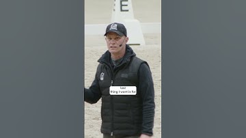 Is your horse really ready to be ridden?