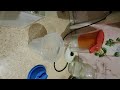 ЗОЖ. Коктейли помогающие похудеть