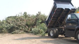 Meet the Sioux Center street crews cleaning up after the derecho