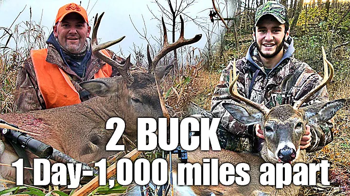 MN Public Land Buck and Son's PA Archery Buck: 2 Bucks, 1 Day, 1000 miles Apart!
