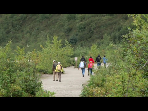 Mendenhall Glacier Gardens Youtube