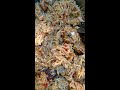 CHICKEN BIRIYANI #shorts #myfirstshorts #recipes