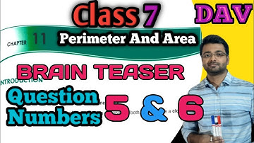 D.A.V. Math | Class 7 | Chapter 11 | Perimeter & Area | Brain Teasers | Q5, Q6 | Art Of Mathematica