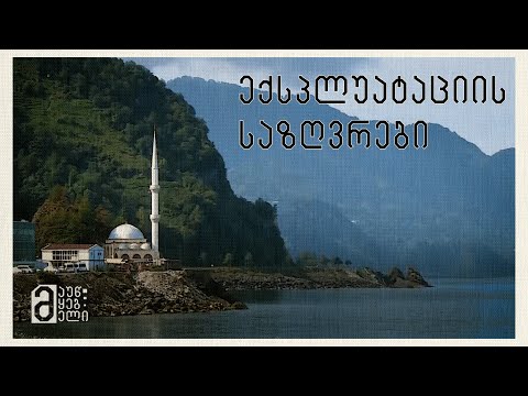 თურქეთში დასაქმებულები