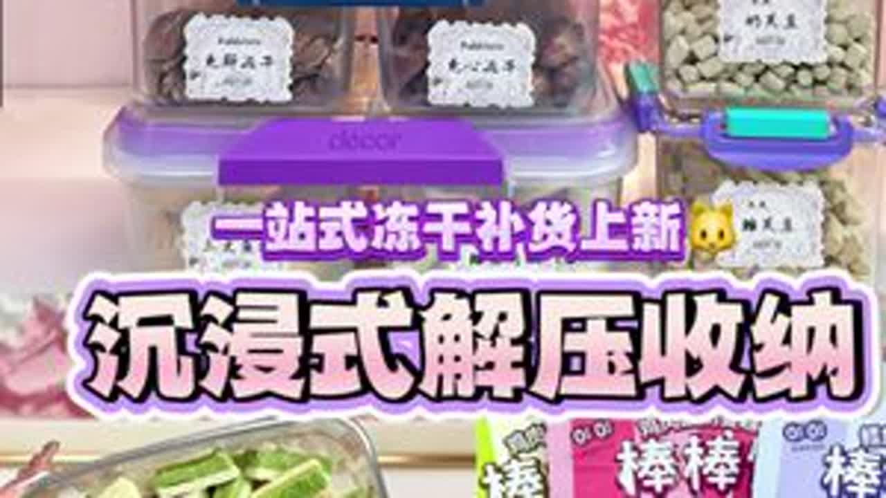 沉浸式收纳 小猫咪的零食冻干盛宴💕 