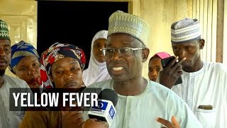 Yellow Fever Kills Three In Bauchi