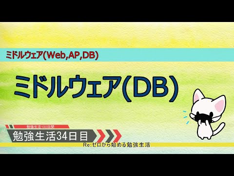 【セキュリティ勉強生活１００日間：３４日目】　ミドルウェア（ＤＢ）【初心者向け】
